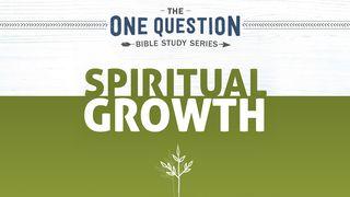 One Question Bible Study: Spiritual Growth 1 Timothy 6:12 New Living Translation