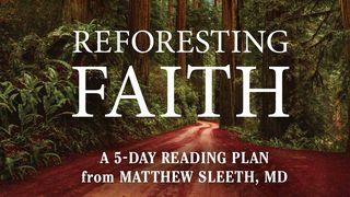 Reforesting Faith John 19:34-37 New International Version