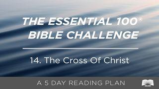 The Essential 100® Bible Challenge–14–The Cross Of Christ John 19:34-37 New International Version