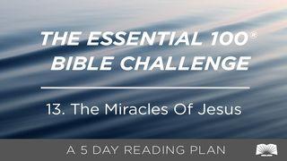 The Essential 100® Bible Challenge–13–The Miracles Of Jesus John 11:49-50 New International Version