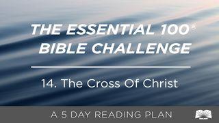 The Essential 100® Bible Challenge–14–The Cross Of Christ. John 19:34-37 New International Version