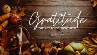 Gratitude: The Key to Contentment  1 Timothy 6:12 New International Version