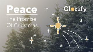 Peace: The Promise of Christmas  John 11:49-50 New International Version