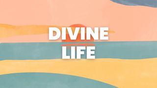 Divine Life 2 Peter 1:2-4 New International Version