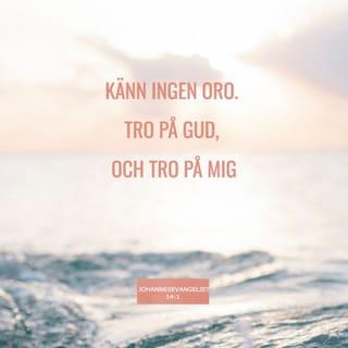 Johannes 14:1 - »Edra hjärtan vare icke oroliga. Tron på Gud; tron ock på mig.