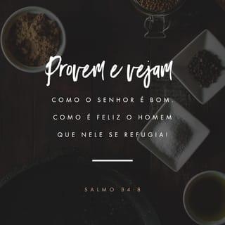 Salmos 34:8 - Provai e vede que o SENHOR é bom; bem-aventurado o homem que nele confia.