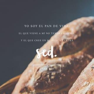 Juan 6:35 - —Yo soy el pan de vida —declaró Jesús—. El que a mí viene nunca pasará hambre y el que en mí cree nunca más volverá a tener sed.