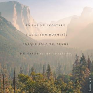 Salmo 4:8 - En paz me acostaré y así también dormiré;
porque solo tú, SEÑOR, me haces habitar seguro.