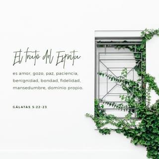 Gálatas 5:22-26 - Mas el fruto del Espíritu es amor, gozo, paz, paciencia, benignidad, bondad, fe, mansedumbre, templanza; contra tales cosas no hay ley. Pero los que son de Cristo han crucificado la carne con sus pasiones y deseos.
Si vivimos por el Espíritu, andemos también por el Espíritu. No nos hagamos vanagloriosos, irritándonos unos a otros, envidiándonos unos a otros.