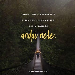 Colossenses 2:6-7 - Portanto, já que vocês aceitaram Cristo Jesus como Senhor, vivam unidos com ele. Estejam enraizados nele, construam a sua vida sobre ele e se tornem mais fortes na fé, como foi ensinado a vocês. E deem sempre graças a Deus.