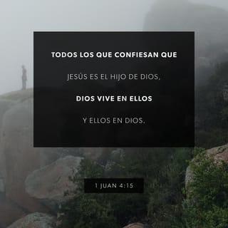 1 Juan 4:14-15 - Nosotros mismos lo hemos visto, y lo decimos sin miedo: el Padre envió a su Hijo para salvar a todo el mundo. Si alguien reconoce que Jesucristo es el Hijo de Dios, queda íntimamente unido a Dios, como si fuera una sola persona con él.