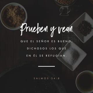 Salmos 34:8 RVR1960