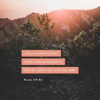 Psalms 119:93 - I will never forget your commandments,
for by them you give me life.