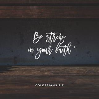 Colossians 2:7 - Your spiritual roots go deeply into his life as you are continually infused with strength, encouraged in every way. For you are established in the faith you have absorbed and enriched by your devotion to him!