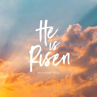 Matthew 28:5-6 - The angel said to the women, “Do not be afraid, for I know that you are looking for Jesus, who was crucified. He is not here; he has risen, just as he said. Come and see the place where he lay.