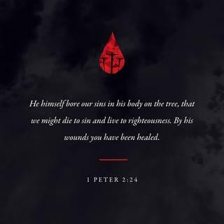 1 Peter 2:24 - and He Himself bore our sins in His body on the cross, so that we might die to sin and live to righteousness; for by His wounds you were healed.