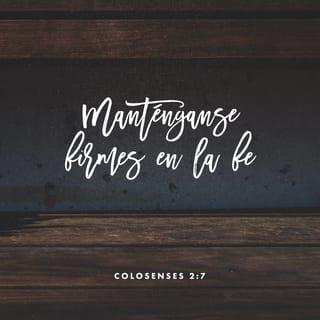 Colosenses 2:7 - Tal como se les enseñó, confíen cada vez más en él, y vivan obedeciendo sus enseñanzas para ser cada vez mejores, y den siempre gracias a Dios.