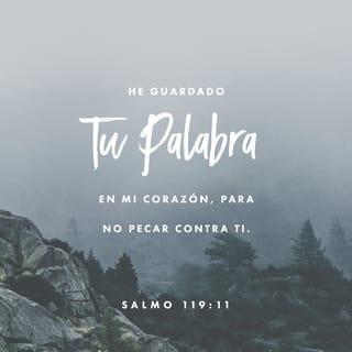 Salmos 119:10-11 - Yo te busco de todo corazón
y llevo tu palabra en mi pensamiento.
Manténme fiel a tus enseñanzas
para no pecar contra ti.