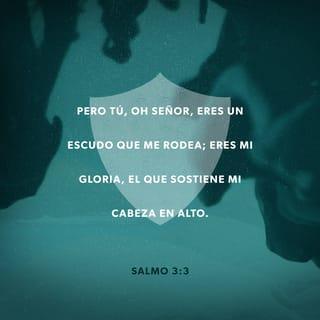 Salmos 3:3 - 3 (4) Solo tú, Dios mío,
me proteges como un escudo;
y con tu poder
me das nueva vida.