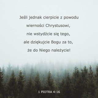 Pierwszy list św. Piotra 4:16 - Wszakże jeśli cierpi jako chrześcijanin, niech tego nie uważa za hańbę, niech raczej tym imieniem wielbi Boga.