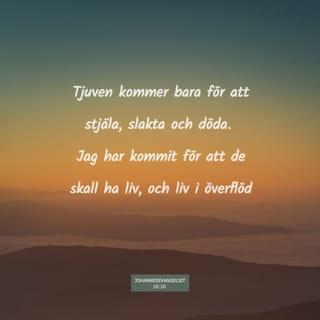 Johannesevangeliet 10:10 - Tjuven kommer bara för att stjäla, slakta och döda. Jag har kommit för att de skall ha liv, och liv i överflöd.