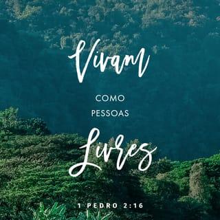 1Pedro 2:15 - Pois é da vontade de Deus que, pela prática do bem, vocês silenciem a ignorância dos insensatos.