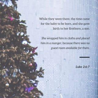 Luke 2:6-7-15 - When they arrived in Bethlehem, Mary went into labor, and there she gave birth to her firstborn son. She wrapped the newborn baby in strips of cloth, and Mary and Joseph laid him in a feeding trough since there was no available space in any upper room in the village.

That night, in a field near Bethlehem, shepherds were watching over their flocks. Suddenly, an angel of the Lord appeared in radiant splendor before them, lighting up the field with the blazing glory of God, and the shepherds were terrified! But the angel reassured them, saying, “Don’t be afraid, for I have come to bring you good news, the most joyous news the world has ever heard! And it is for everyone everywhere! For today in Bethlehem a rescuer was born for you. He is the Lord YAHWEH, the Messiah. You will recognize him by this miraculous sign: You will find a baby wrapped in strips of cloth and lying in the feeding trough!”
Then all at once in the night sky, a vast number of glorious angels appeared, the very armies of heaven! And they all praised God, singing:

“Glory to God in the highest realms of heaven!
For there is peace and a good hope given to the sons of men.”

When the choir of angels disappeared and returned to heaven, the shepherds said to one another, “Let’s go! Let’s hurry and find this Word who is born in Bethlehem and see for ourselves what the Lord has revealed to us.”