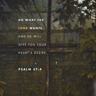 Psalms 37:4-7 - Take delight in the LORD,
and he will give you your heart’s desires.

Commit everything you do to the LORD.
Trust him, and he will help you.
He will make your innocence radiate like the dawn,
and the justice of your cause will shine like the noonday sun.

Be still in the presence of the LORD,
and wait patiently for him to act.
Don’t worry about evil people who prosper
or fret about their wicked schemes.