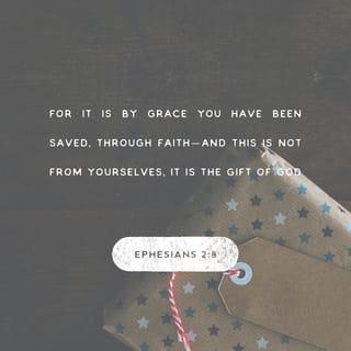 Ephesians 2:8-9 - For it is by grace you have been saved, through faith—and this is not from yourselves, it is the gift of God— not by works, so that no one can boast.