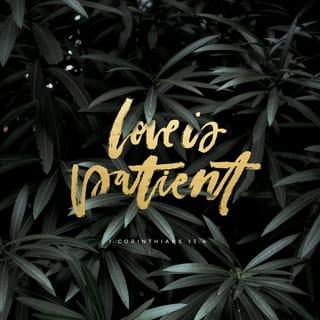 1 Corinthians 13:4 - Love is patient, love is kind. It does not envy, it does not boast, it is not proud.