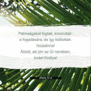 János 12:13 - Pálmaágakat vőn, és kiméne elébe, és kiált vala: Hozsánna: Áldott, a ki jő az Úrnak nevében, az Izráelnek ama királya!