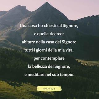 Salmi 27:4 - Una cosa ho chiesto al SIGNORE, e quella ricerco: abitare nella casa del SIGNORE tutti i giorni della mia vita, per contemplare la bellezza del SIGNORE e meditare nel suo tempio.