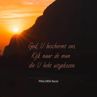 De Psalmen 84:10 - O God, ons Schild! zie, en aanschouw het aangezicht Uws gezalfden.