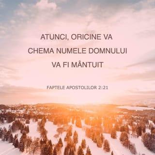 Faptele Apostolilor 2:21 - Atunci, oricine va chema Numele Domnului va fi mântuit.»’