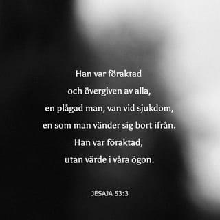 Jesaja 53:3-5 - Han var föraktad
och övergiven av människor,
en smärtornas man
och förtrogen med lidande.
Han var som en
som man skyler ansiktet för,
så föraktad att vi inte
respekterade honom.

Men det var våra sjukdomar han bar,
våra smärtor tog han på sig,
medan vi såg honom som hemsökt,
slagen av Gud och pinad.
Han blev genomborrad för våra brott,
slagen för våra synder.
Straffet blev lagt på honom
för att vi skulle få frid,
och genom hans sår är vi helade.