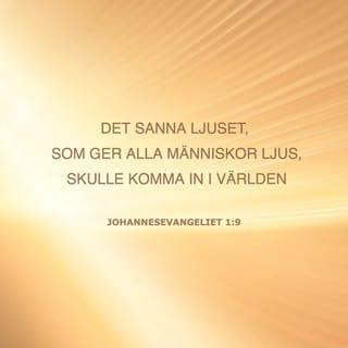 Johannesevangeliet 1:9 - Det sanna ljuset, som ger ljus åt alla människor, skulle nu komma till världen.