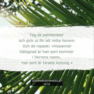 Johannesevangeliet 12:13 - tog de palmblad och gick ut för att möta honom. Och de ropade: "Hosianna! Välsignad är han som kommer i Herrens namn, han som är Israels kung!"