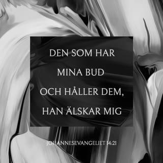 Johannes 14:21 - Den som har mina bud och håller dem, han är den som älskar mig; och den som älskar mig, han skall bliva älskad av min Fader, och jag skall älska honom och jag skall uppenbara mig för honom.»