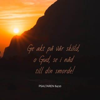 Psaltaren 84:10 - Ge akt på vår sköld, o Gud,
se i nåd till din smorde!