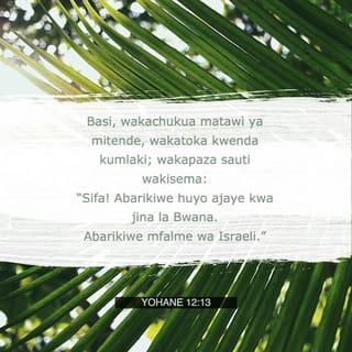 Yohane 12:13 - Basi, wakachukua matawi ya mitende, wakatoka kwenda kumlaki; wakapaza sauti wakisema:
“Sifa! Abarikiwe huyo ajaye kwa jina la Bwana.
Abarikiwe mfalme wa Israeli.”