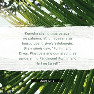 Juan 12:12-13 - Kinabukasan, nabalitaan ng maraming taong dumalo sa pista na si Jesus ay papunta sa Jerusalem. Kumuha sila ng mga palapa ng palmera, at lumabas sila sa lunsod upang siya'y salubungin. Sila'y sumisigaw, “Purihin ang Diyos. Pinagpala ang dumarating sa pangalan ng Panginoon! Purihin ang Hari ng Israel!”