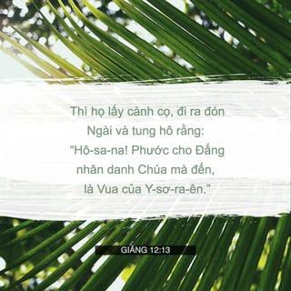 Giăng 12:12-19 - Hôm sau, có đoàn người rất đông đến dự lễ. Khi nghe nói Đức Chúa Jêsus đang đến thành Giê-ru-sa-lem thì họ lấy cành cọ, đi ra đón Ngài và tung hô rằng: “Hô-sa-na! Phước cho Đấng nhân danh Chúa mà đến, là Vua của Y-sơ-ra-ên.” Đức Chúa Jêsus gặp một con lừa con thì cưỡi lên, như lời đã chép:
“Hỡi con gái Si-ôn, đừng sợ!
Kìa, vua ngươi đến, cưỡi trên lừa con!”
Thoạt đầu, các môn đồ không hiểu những điều đó, nhưng khi Đức Chúa Jêsus đã được tôn vinh, lúc ấy họ mới nhớ lại những điều đó được chép về Ngài, và đã được thực hiện cho Ngài. Đoàn người đã ở với Đức Chúa Jêsus lúc Ngài gọi La-xa-rơ ra khỏi mộ, và khiến anh ấy từ cõi chết sống lại, đều làm chứng về Ngài. Sở dĩ đoàn người đi đón Ngài, là vì họ đã nghe nói Ngài thực hiện dấu lạ đó. Vì thế, những người Pha-ri-si nói với nhau: “Các ông thấy không, các ông chẳng làm gì được cả. Hãy xem, cả thiên hạ đều theo ông ta.”