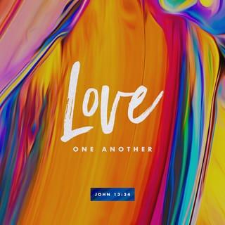 John 13:34-35 - A new commandment I give unto you, that ye love one another; even as I have loved you, that ye also love one another. By this shall all men know that ye are my disciples, if ye have love one to another.