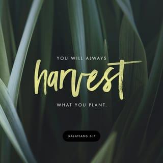 Galatians 6:7 - God will never be mocked! For what you plant will always be the very thing you harvest.