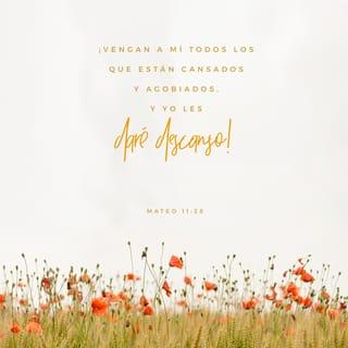 S. Mateo 11:28-30 - Venid a mí todos los que estáis trabajados y cargados, y yo os haré descansar. Llevad mi yugo sobre vosotros, y aprended de mí, que soy manso y humilde de corazón; y hallaréis descanso para vuestras almas; porque mi yugo es fácil, y ligera mi carga.