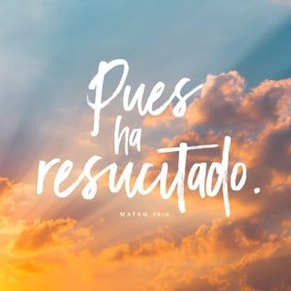 S. Mateo 28:5-6 - Mas el ángel, respondiendo, dijo a las mujeres: No temáis vosotras; porque yo sé que buscáis a Jesús, el que fue crucificado. No está aquí, pues ha resucitado, como dijo. Venid, ved el lugar donde fue puesto el Señor.