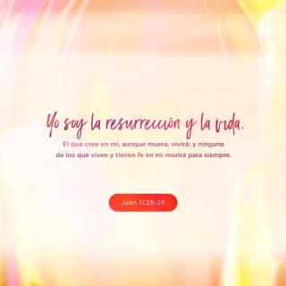 Juan 11:25-26 - Entonces Jesús dijo:
—Yo soy la resurrección y la vida. El que cree en mí vivirá, aunque muera; y todo el que vive y cree en mí no morirá jamás. ¿Crees esto?