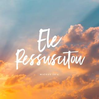 Mateus 28:6 - Ele não está aqui; ressuscitou, como tinha dito. Vinde ver onde ele jazia.