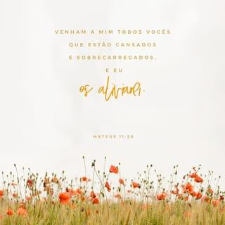 Mateus 11:28 - Vinde a mim, todos os que estais cansados e sobrecarregados, e eu vos aliviarei.