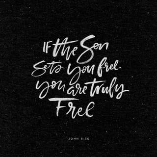 John 8:36 - So if the Son sets you free from sin, then become a true son and be unquestionably free!